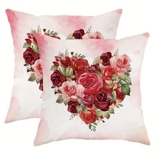Beautiful 2 pieces set pillow