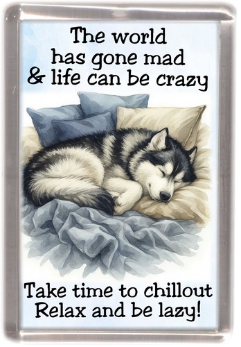Alaskan malamute dog - malamute, fridge