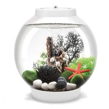 BiOrb CLASSIC 15 Aquarium Fish