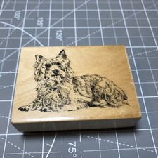 Australian Silky Terrier