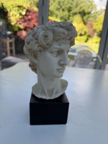 Bust michelangelo david - michelangelo's,