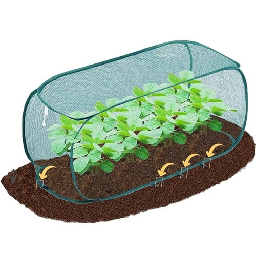 Pop garden greenhouse - garden,