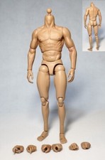 Hot ZC Toys 1/6 Scale Muscular