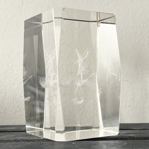 Fairy dragonfly laser etched - dragonfly,