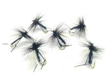 Hawthorn Buoyant Black Winged