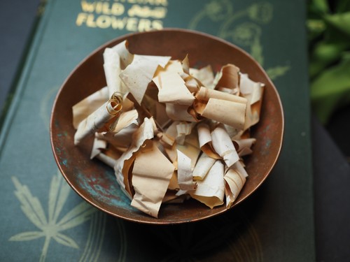 English tree barks - for, incense