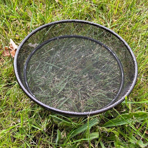 Bird feeding station spare - bird,