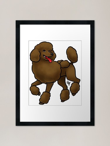 Dog standard poodle - -,
