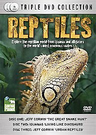 Reptiles dvd david - dvd,
