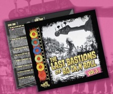 THE LAST BASTIONS OF ROCK N