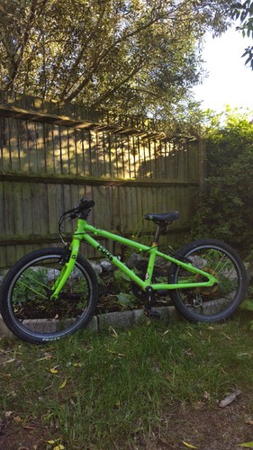 Frog green wheels - green, 20"