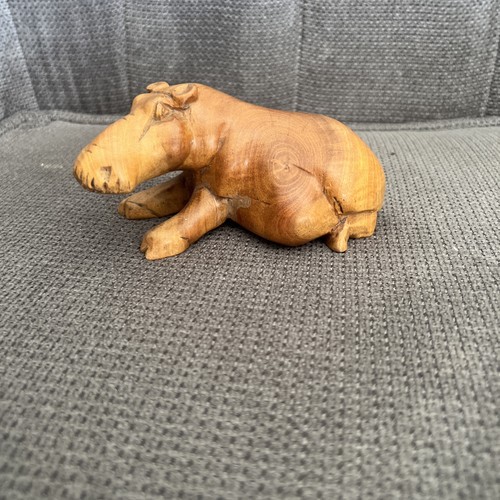 Baby hippo - baby,