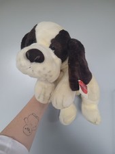 RUSS GAUCHO St Bernard Puppy