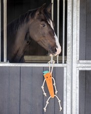 QHP CARROT HORSE TOY FIELD