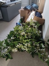 wedding bundle, 26 ivory voile, 26 navy bows, 9x1.7m ivy table runner + extras