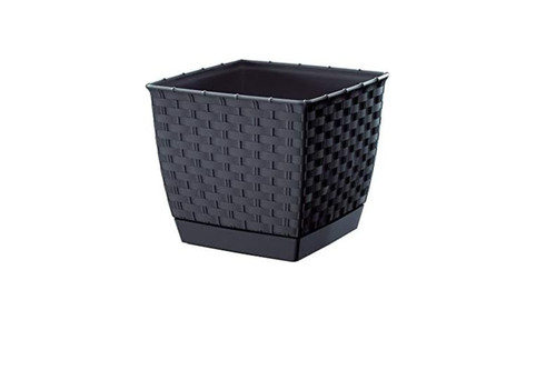 Square plant pot - plant, ratolla