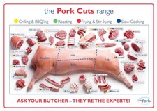 A3 Pig Pork Cuts Butcher