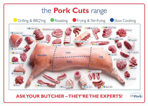 Pig pork cuts butcher - pig,