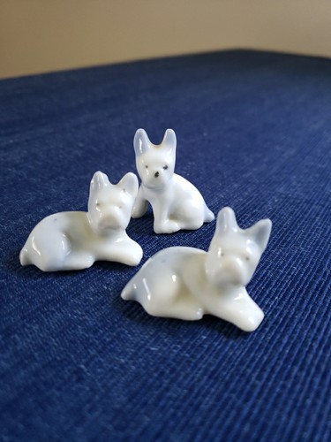 Vintage miniature bulldogs - vintage, /