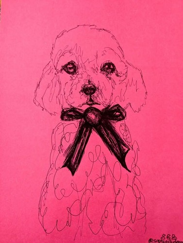 Pink poodle big bow - poodle,