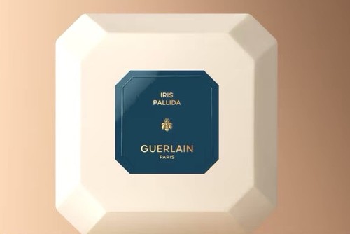 Guerlain iris pallida - iris,