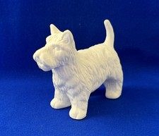 Medium Sized White Westie West