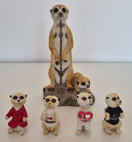 Mixed size meerkat - mixed,