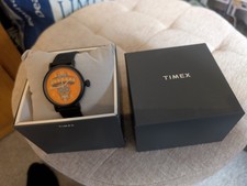 Timex Standard Dia de los