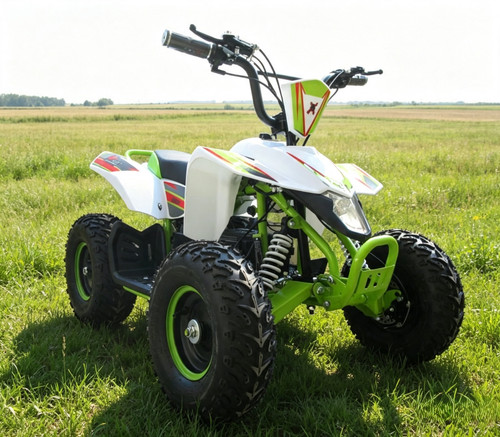 Beast 800w electric mini - beast,