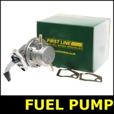 Fuel Pump Fits AUSTIN