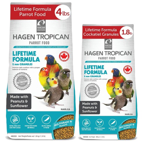 Hari tropican cockatiel - hari,