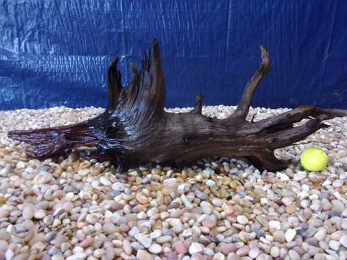 Large driftwood x24 x10 - large,