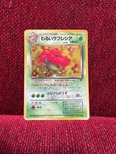 Old Back Bad Rafflesia Retro