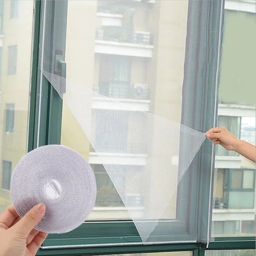 Window fly screen insect - window, &