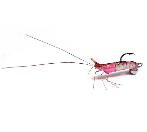 Shrimp lure concept jig - lure,