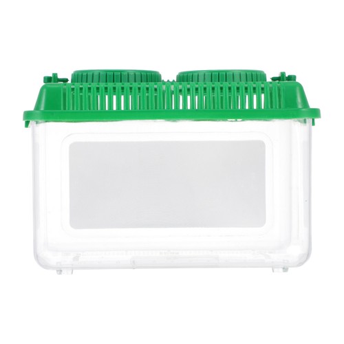 Stick insect enclosure - insect,