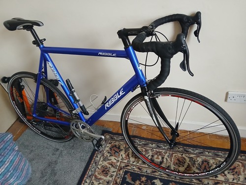 Ribble audax serviced - ribble,