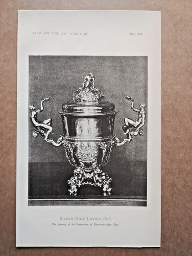 Silver gilt loving cup - gilt,