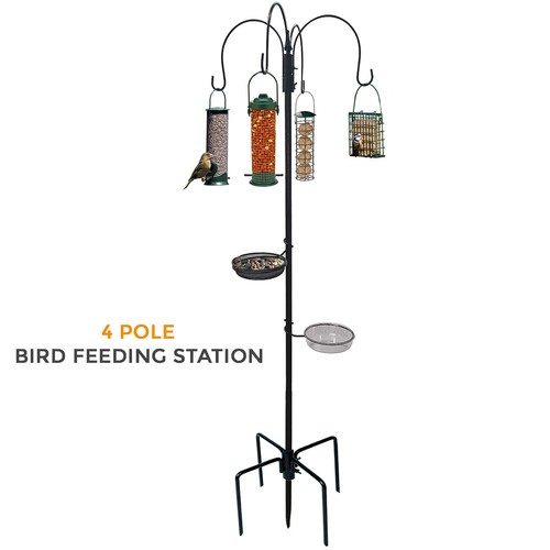 New traditional bird feeding - traditional,