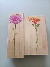 Hero Arts Flower Stamps X 2