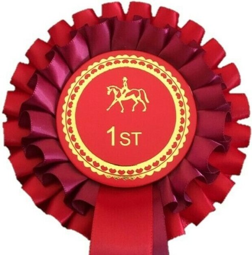Individual placing horse - placing, 2