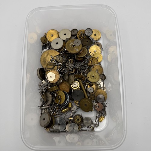 Bundle small watch - bundle,