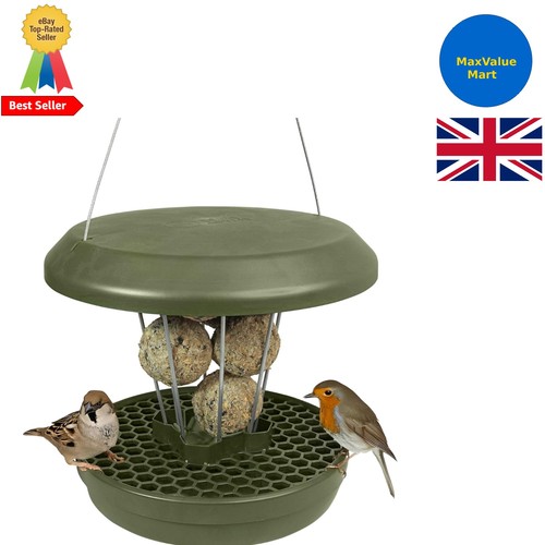Lucerne smart bird feeder - bird,