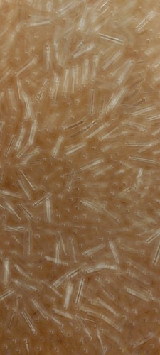 000 empty clear capsules - 80,000,
