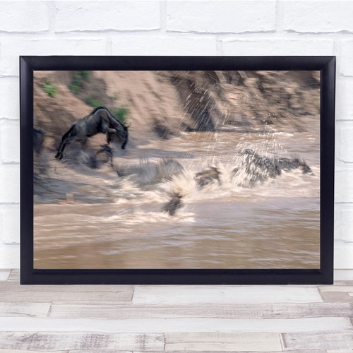Wildlife nature animals - wildlife,