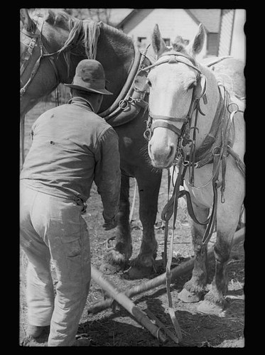 Grundy county iowa 1940 - grundy, man