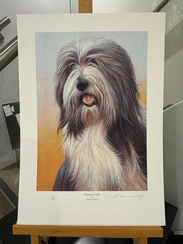 Nigel hemming bearded - bearded, collie