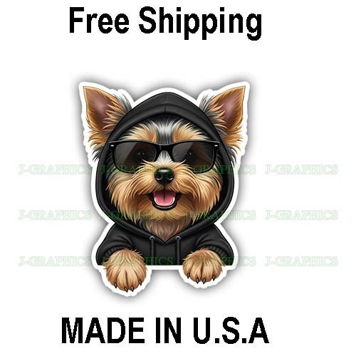 Yorkshire terrier yorkie - yorkshire,