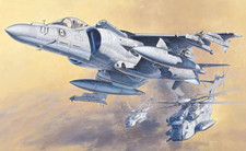 Hasegawa 1/48 McDonnell Douglas AV-8B Harrier II Plus USMC Ace of Spades Kit