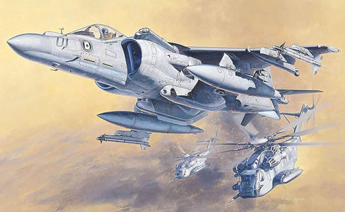 Hasegawa mcdonnell - hasegawa,